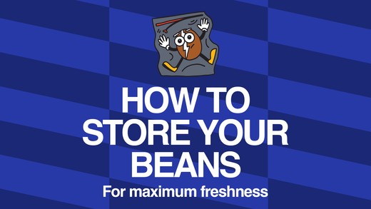 How to Store your Beans for Maximum Freshness